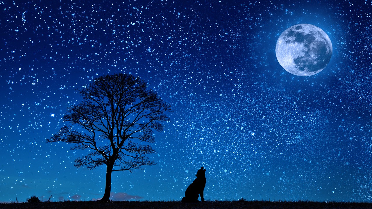 8 lições poderosas para aprender com a natureza